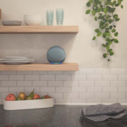 An Alexa Echo device sits on a kitchen shelf waiting to be used.