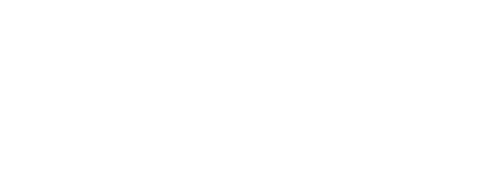 Bear Technology White Logo