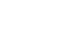 Bear Technology White Logo